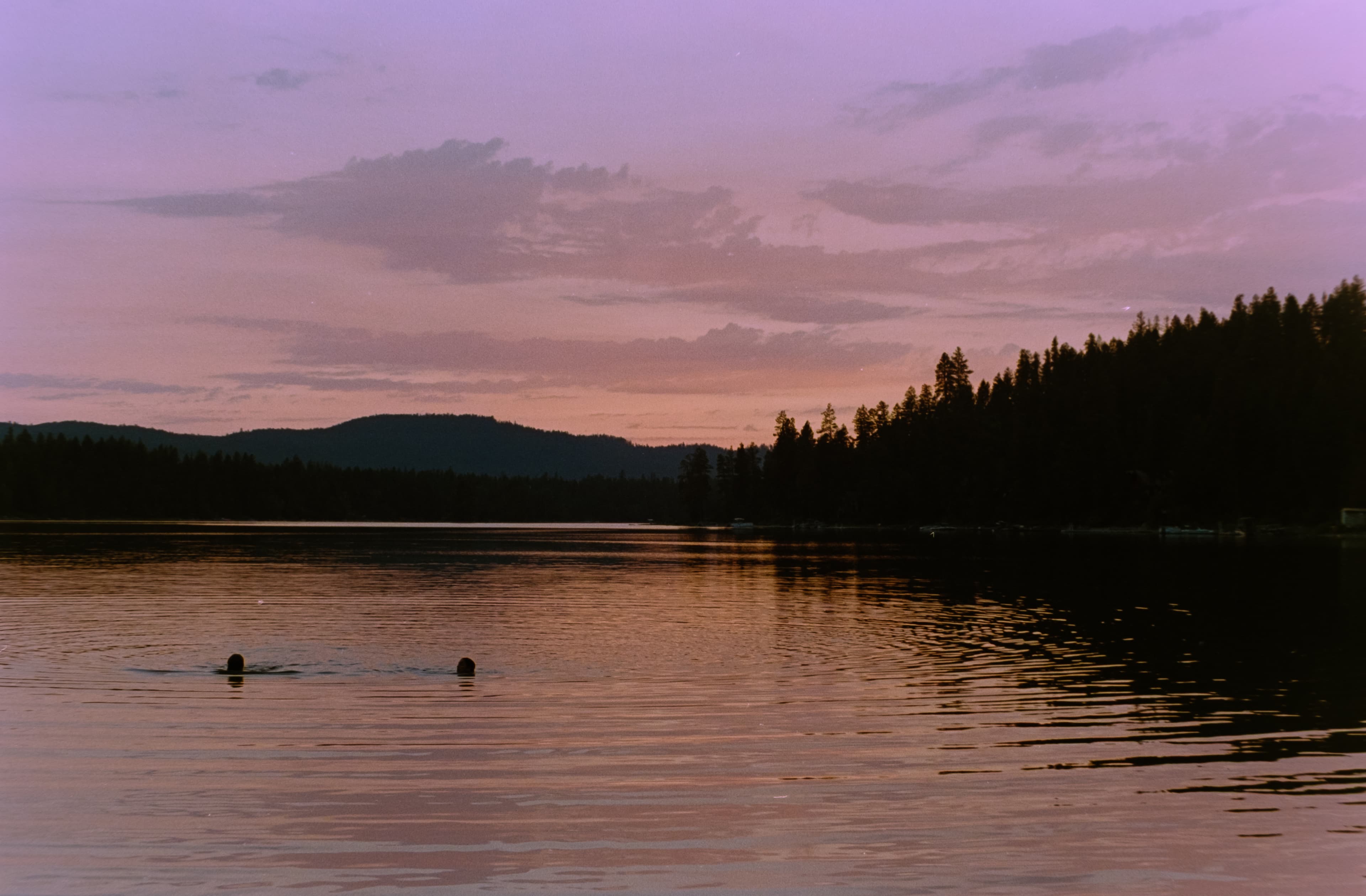 Swan Hollow - Montana waterfront with mountains and forest at sunset
